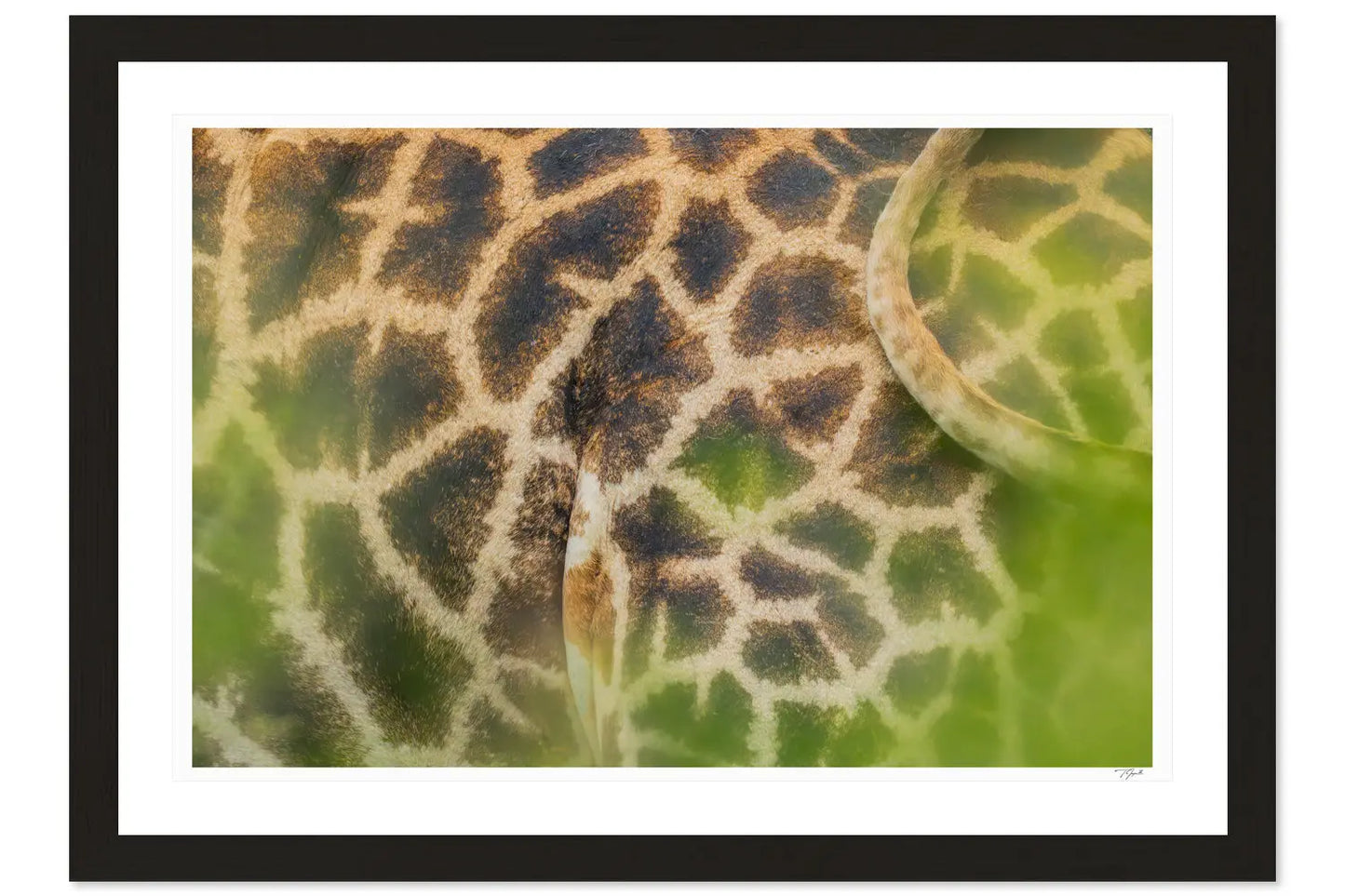 Giraffe Patterns My Store