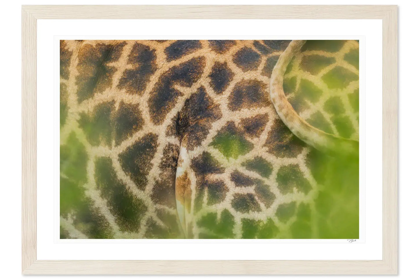 Giraffe Patterns My Store