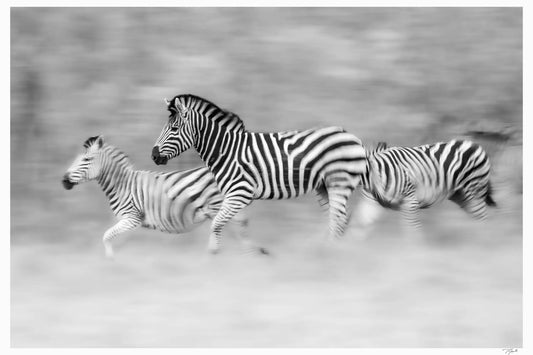 Ephemeral Strides - Tommy Joyce