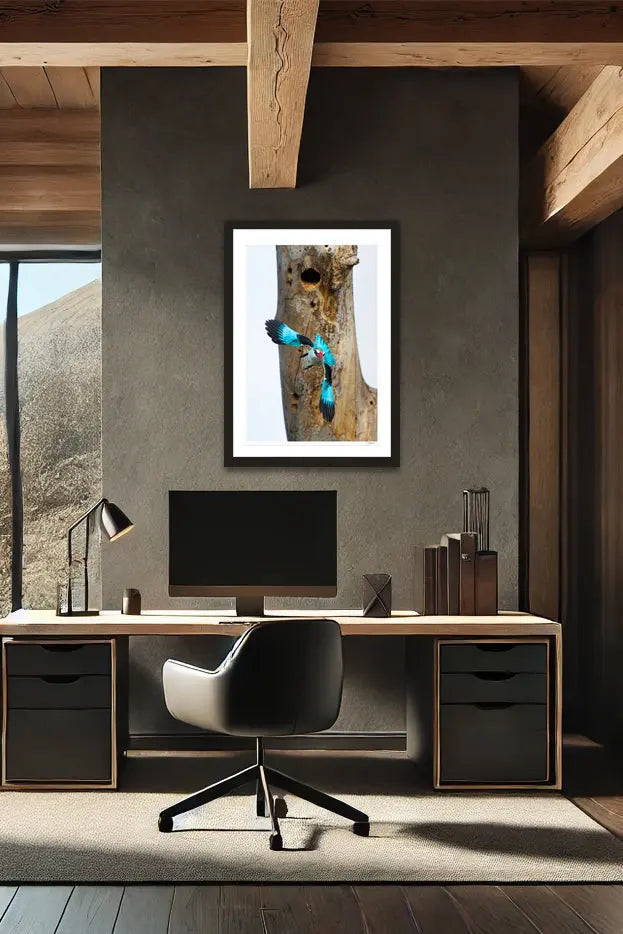 Bomb Drop - Tommy Joyce