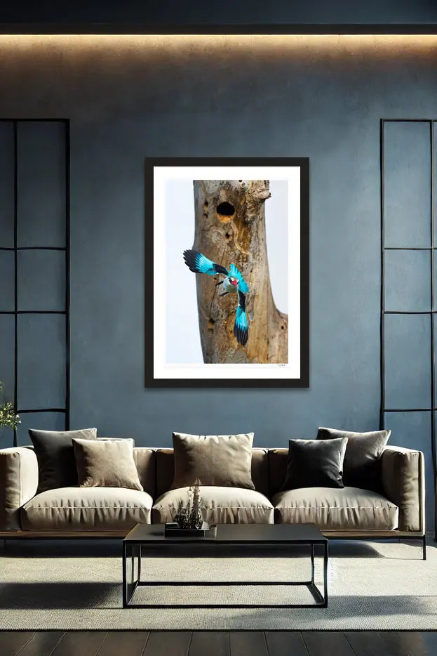 Bomb Drop - Tommy Joyce