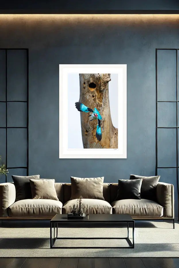 Bomb Drop - Tommy Joyce