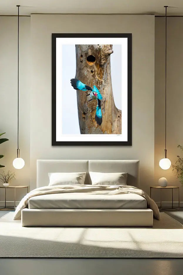 Bomb Drop - Tommy Joyce