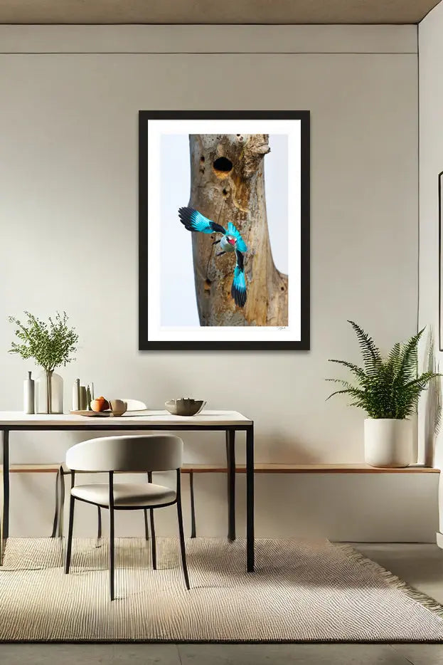 Bomb Drop - Tommy Joyce