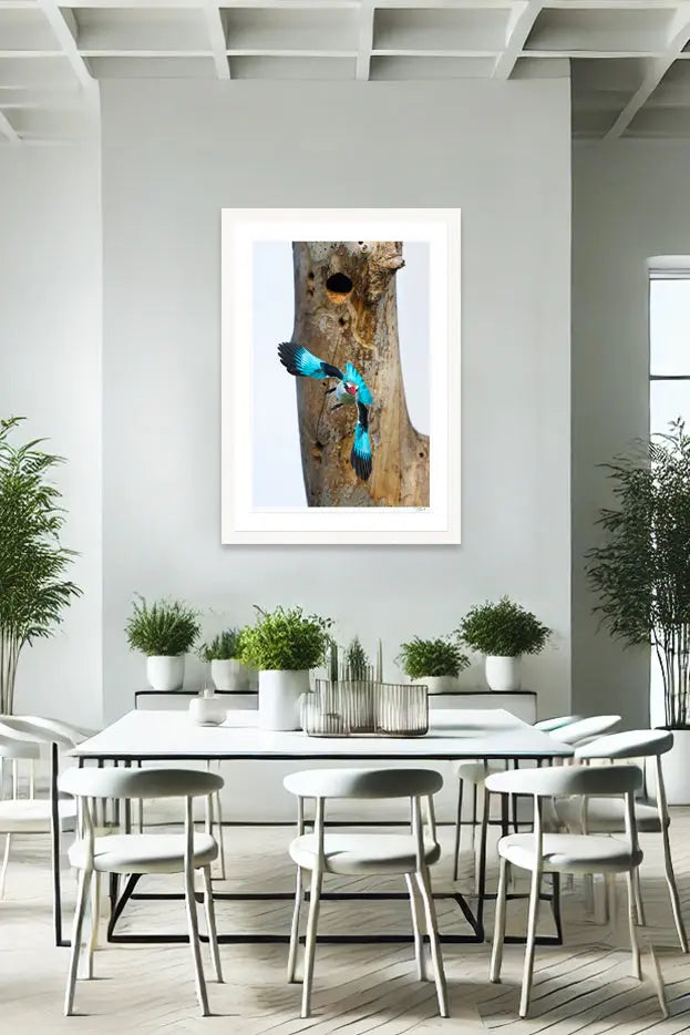 Bomb Drop - Tommy Joyce