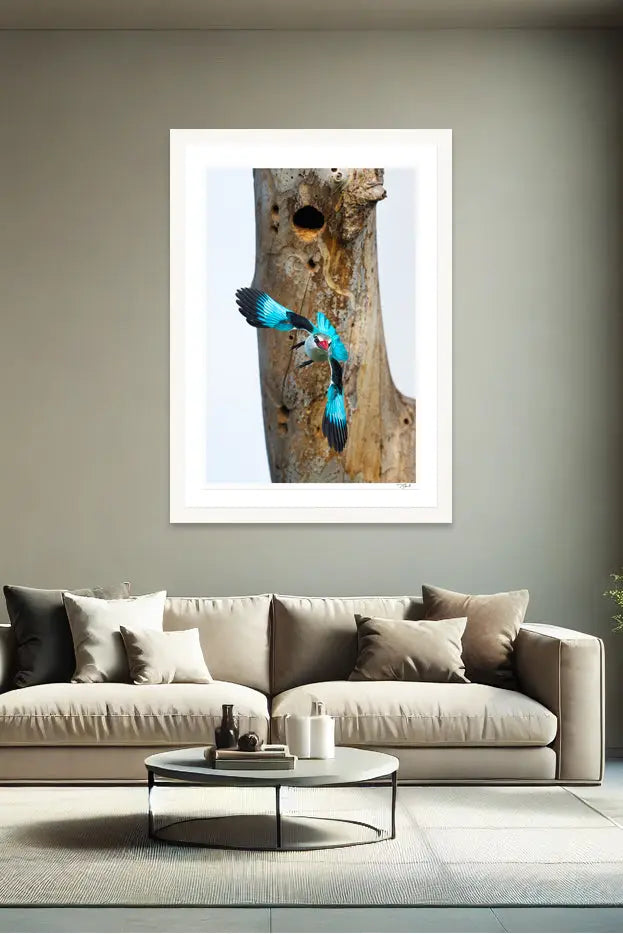 Bomb Drop - Tommy Joyce