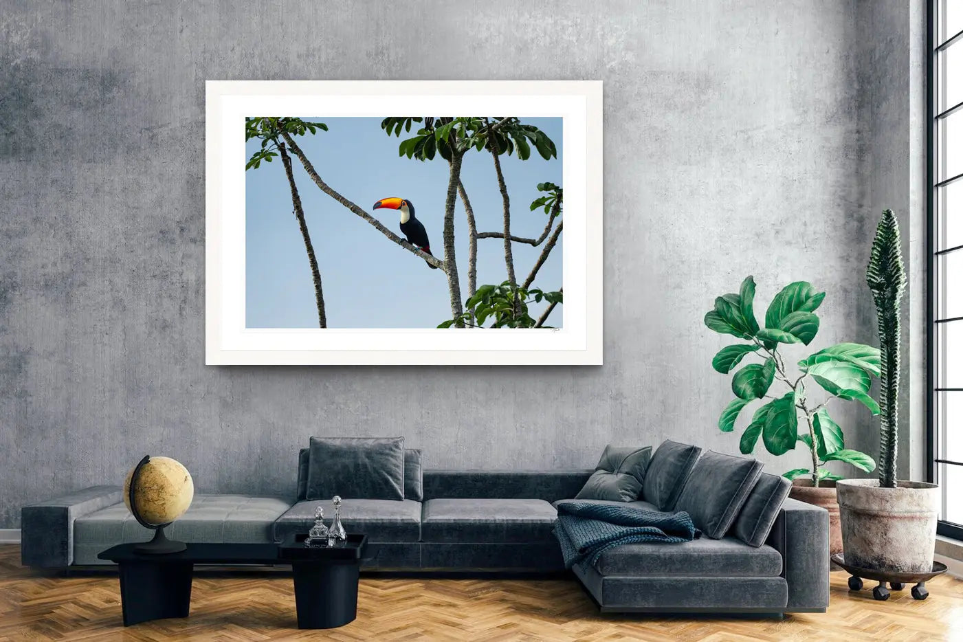 Toucan My Store