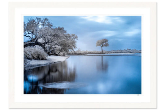 Infrared Island - Tommy Joyce