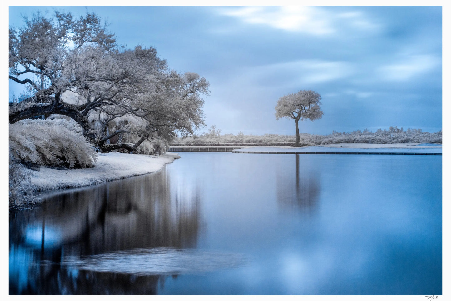 Infrared Island - Tommy Joyce