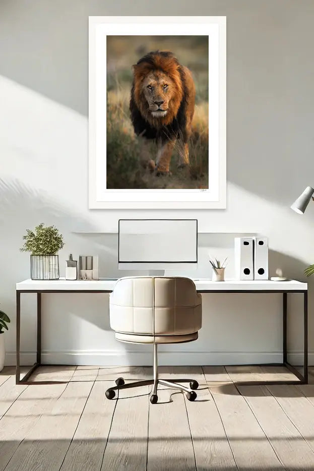 King Stroll - Tommy Joyce