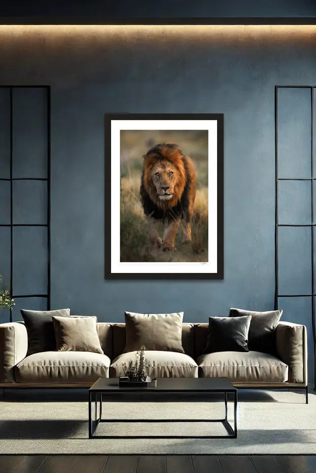 King Stroll - Tommy Joyce