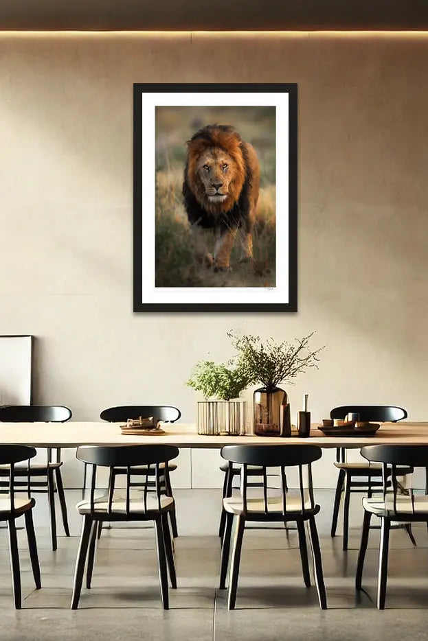 King Stroll - Tommy Joyce