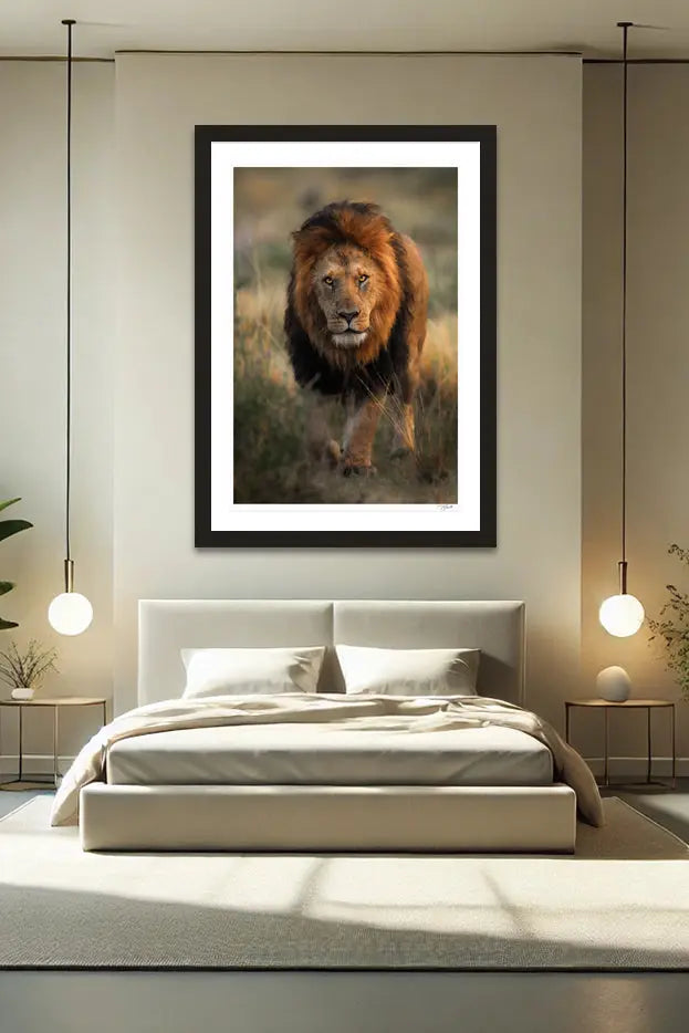 King Stroll - Tommy Joyce