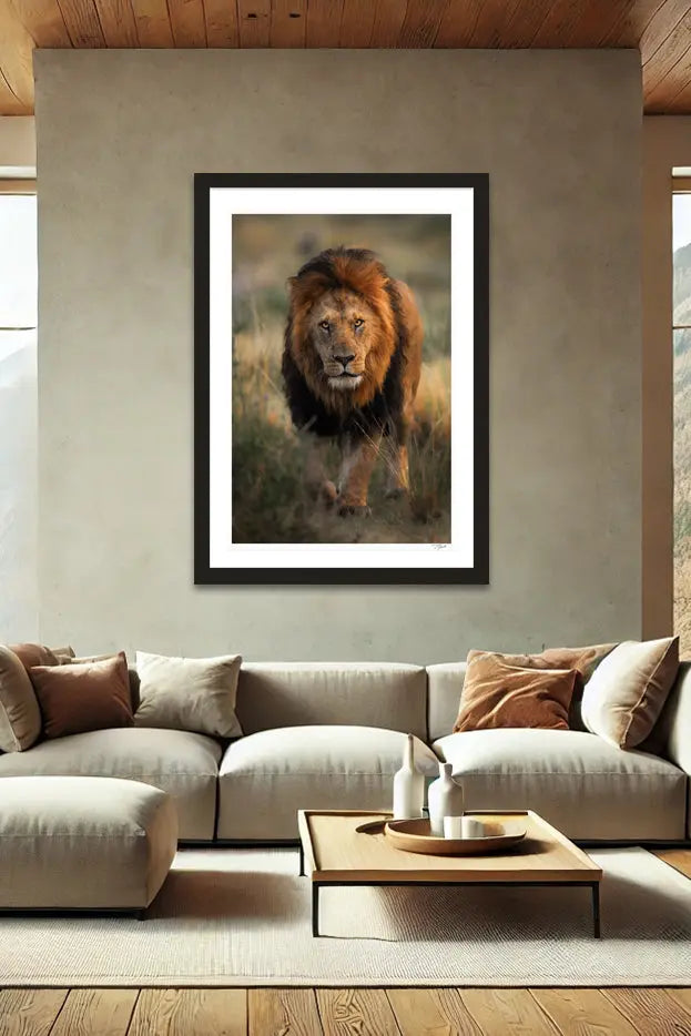 King Stroll - Tommy Joyce