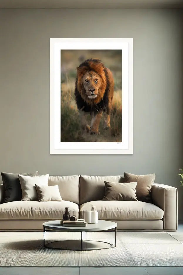 King Stroll - Tommy Joyce