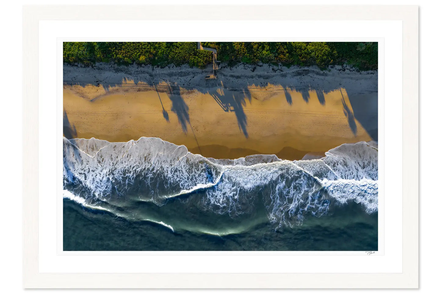 Shoreline Shadows - Tommy Joyce
