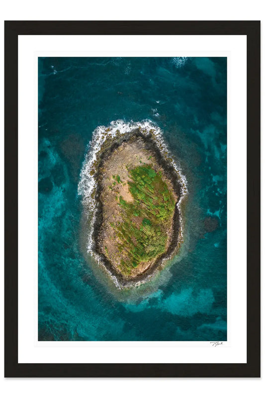 Island Overhead - Tommy Joyce