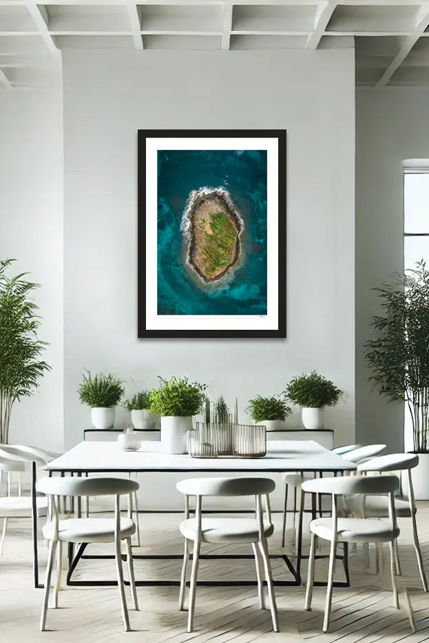 Island Overhead - Tommy Joyce