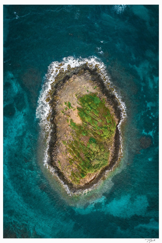 Island Overhead - Tommy Joyce