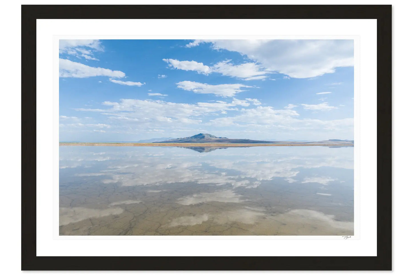 Salt Mirror - Tommy Joyce