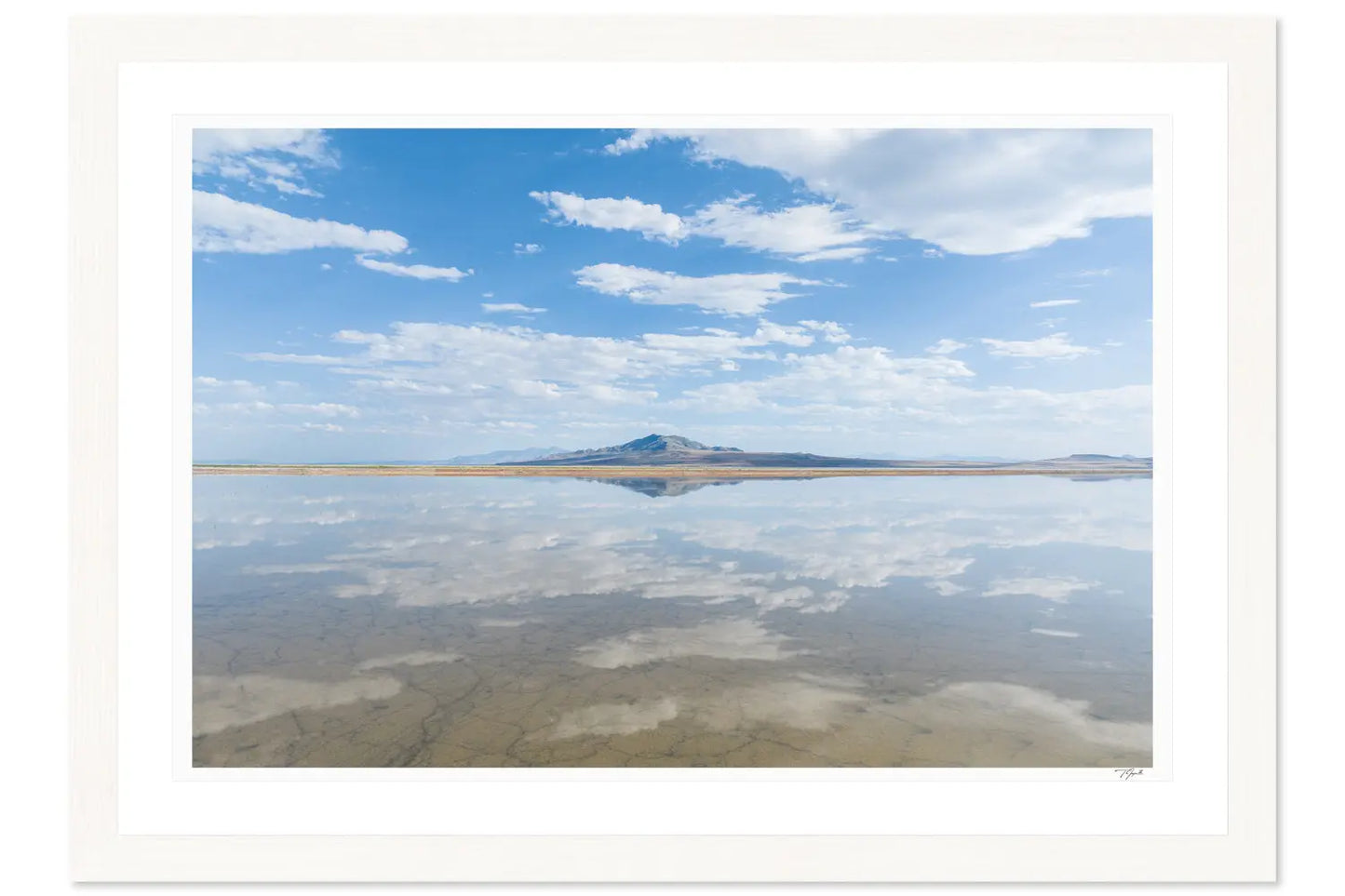 Salt Mirror - Tommy Joyce