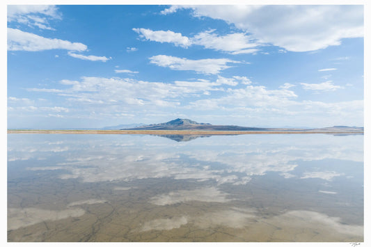 Salt Mirror - Tommy Joyce