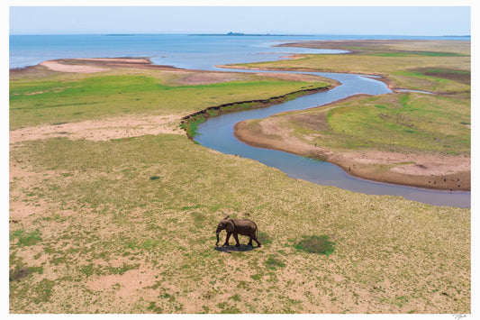 Lakeside Graze - Tommy Joyce