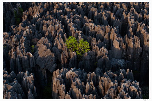 Broken Tsingy - Tommy Joyce