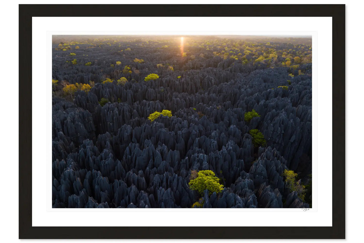 Tsingy Sunrise - Tommy Joyce