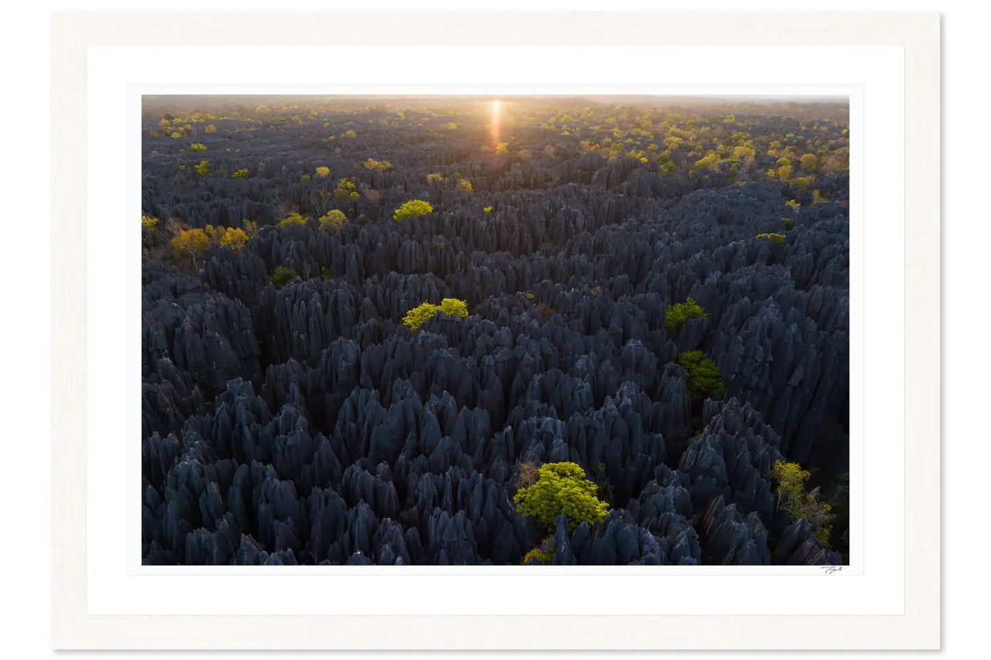 Tsingy Sunrise - Tommy Joyce