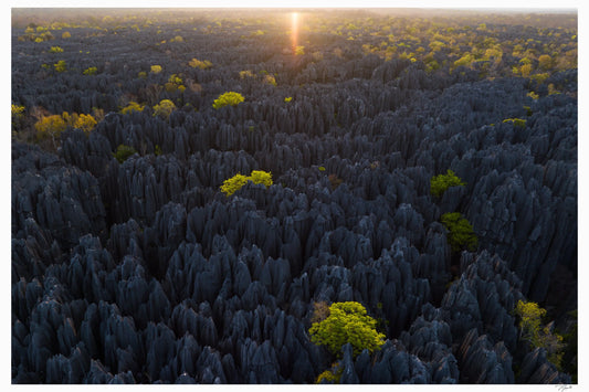Tsingy Sunrise - Tommy Joyce