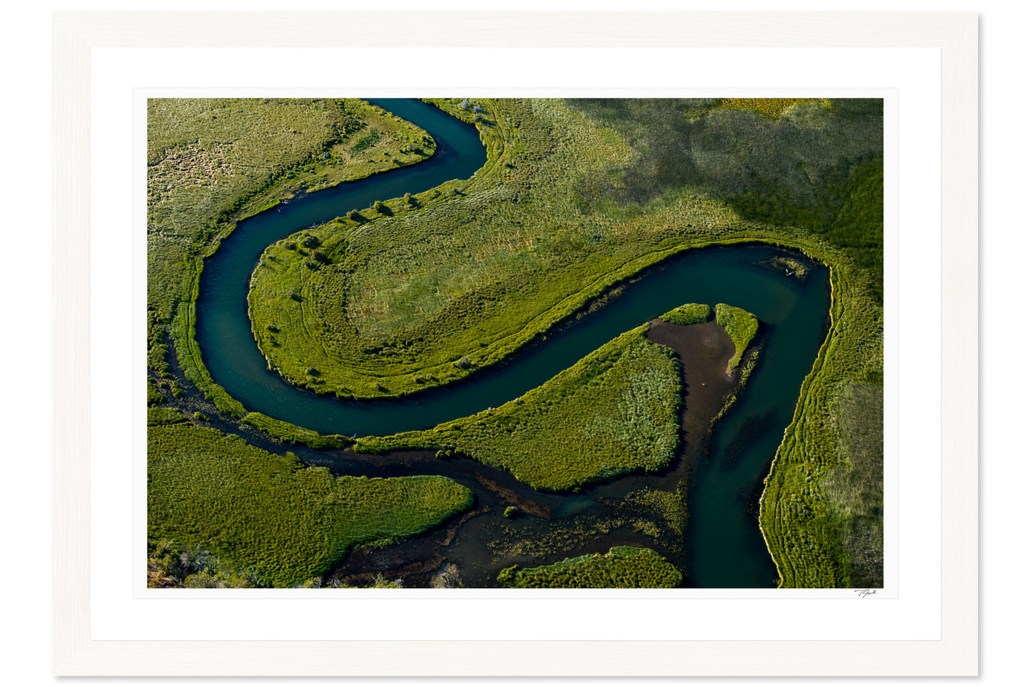 Serpentine Wetlands