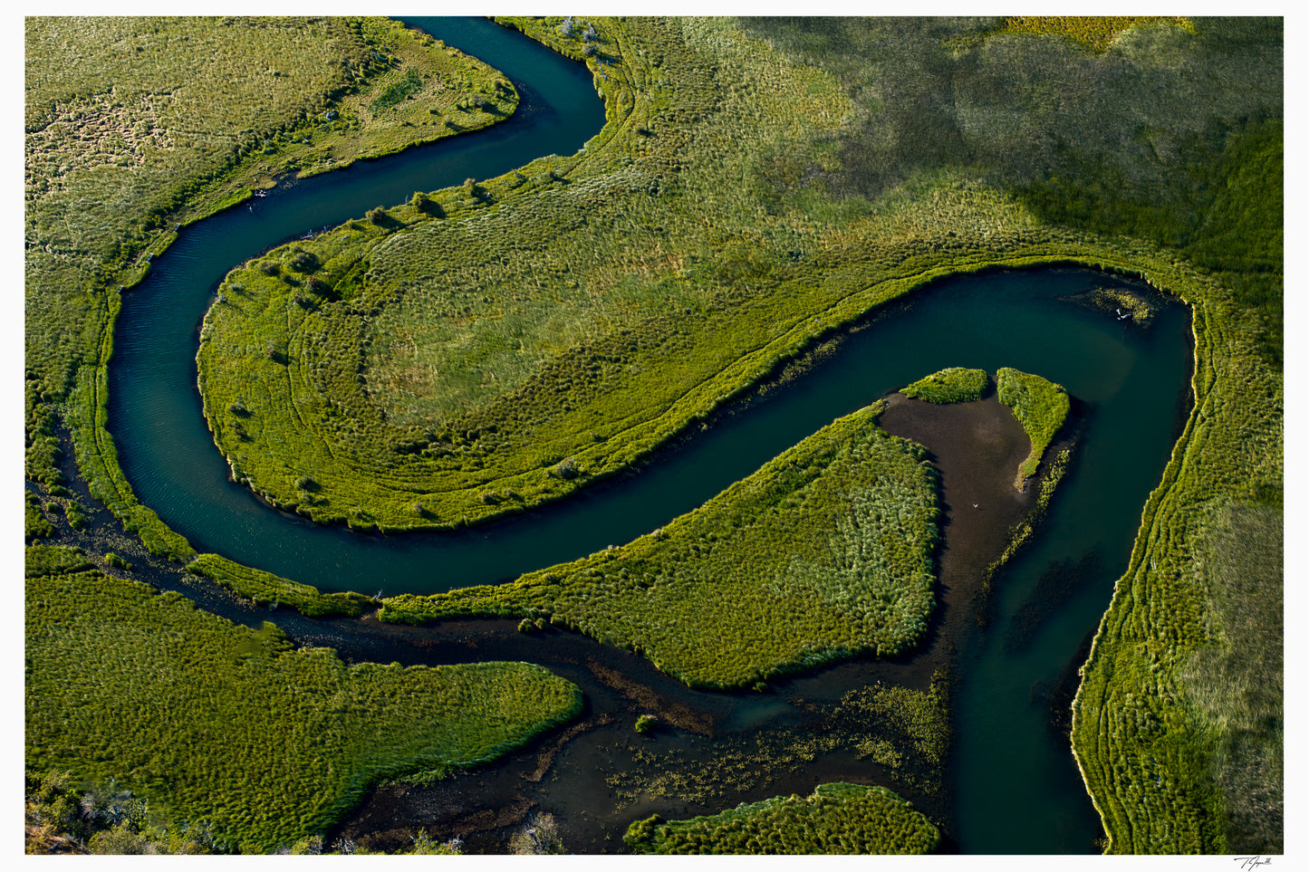 Serpentine Wetlands