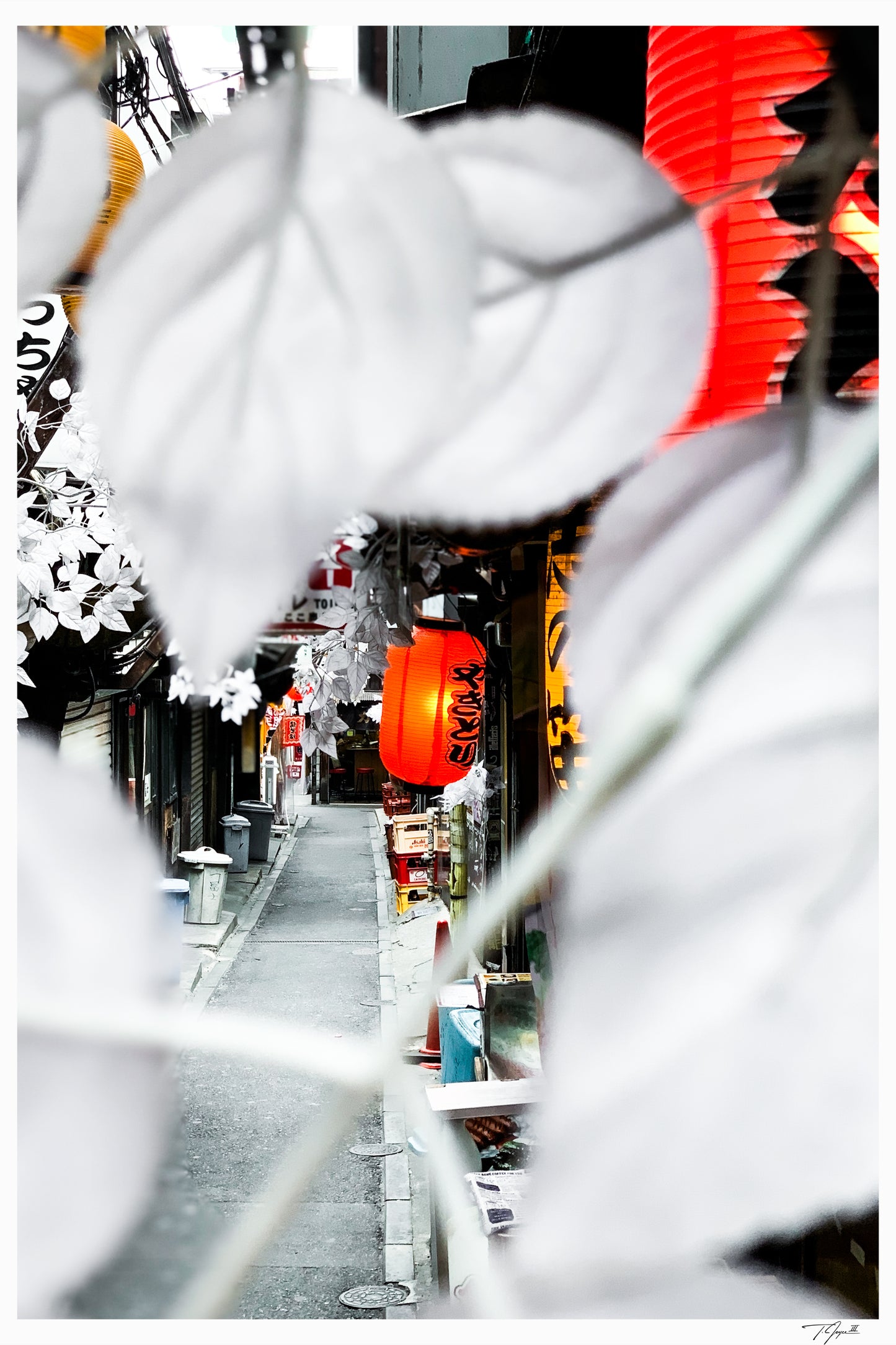 Piss Alley Peek