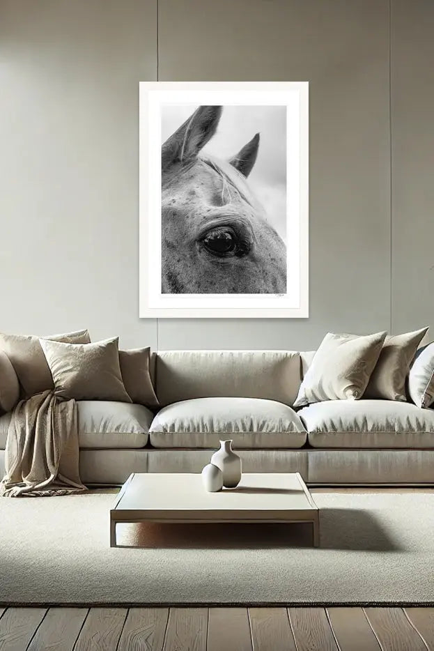 Horse Lashes - Tommy Joyce