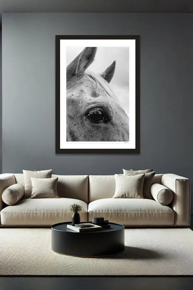 Horse Lashes - Tommy Joyce