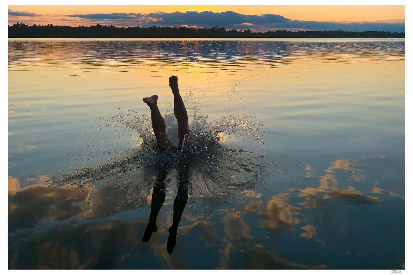 Sunrise Dive - Tommy Joyce