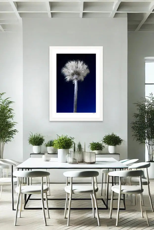 Infra Palm - Tommy Joyce