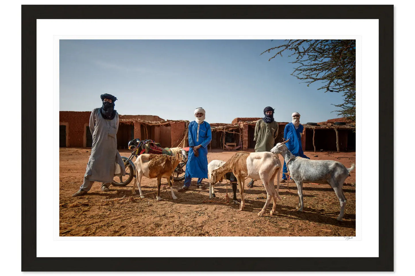 Nomads of the Sahara - Tommy Joyce