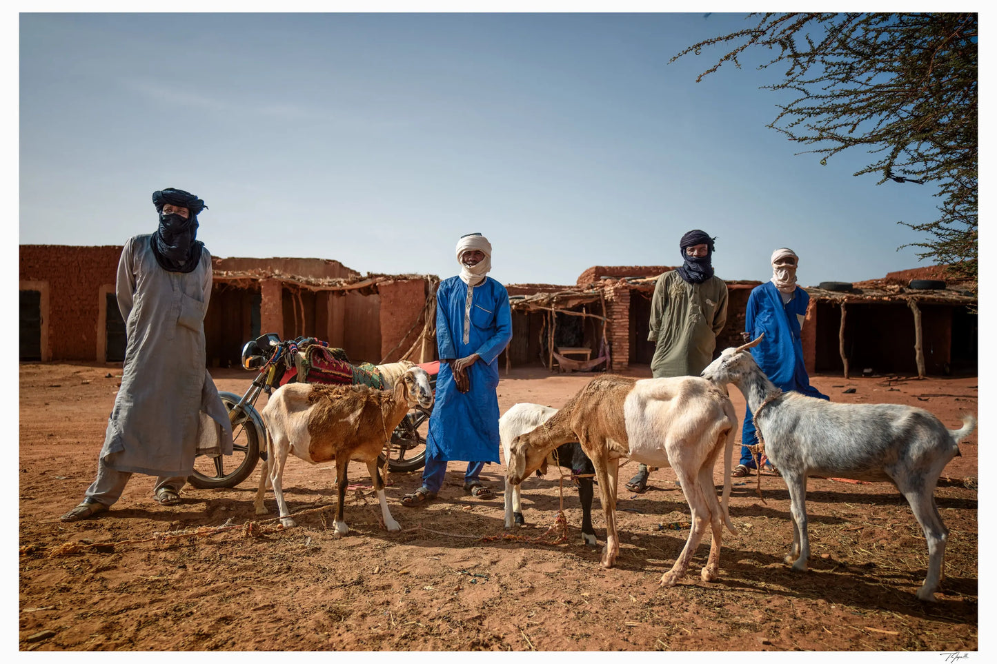 Nomads of the Sahara - Tommy Joyce