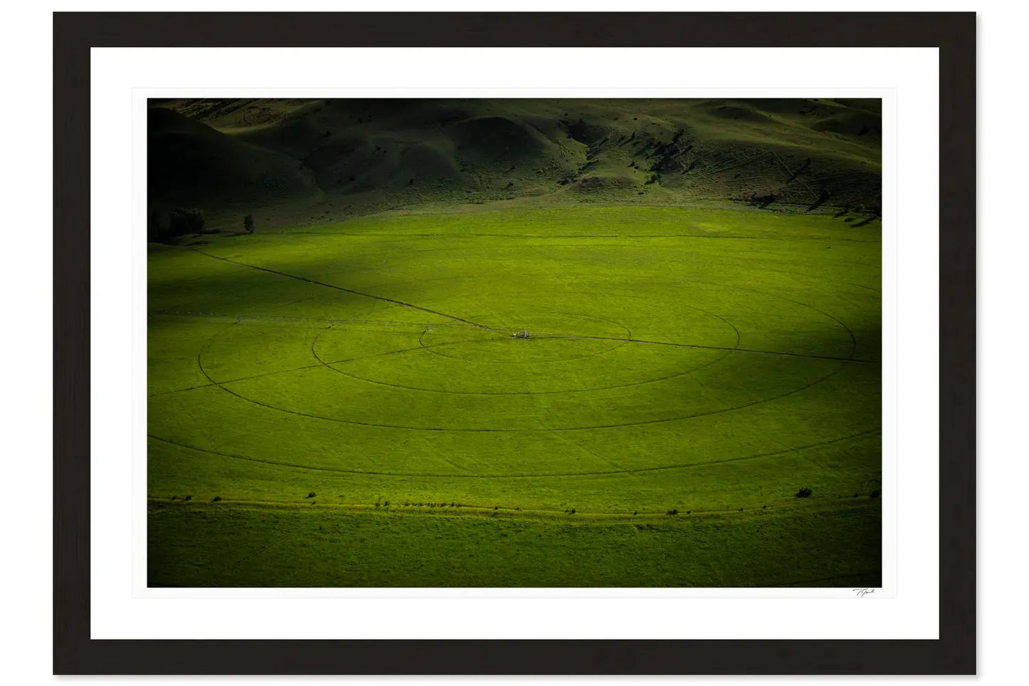 Swirling Plains - Tommy Joyce