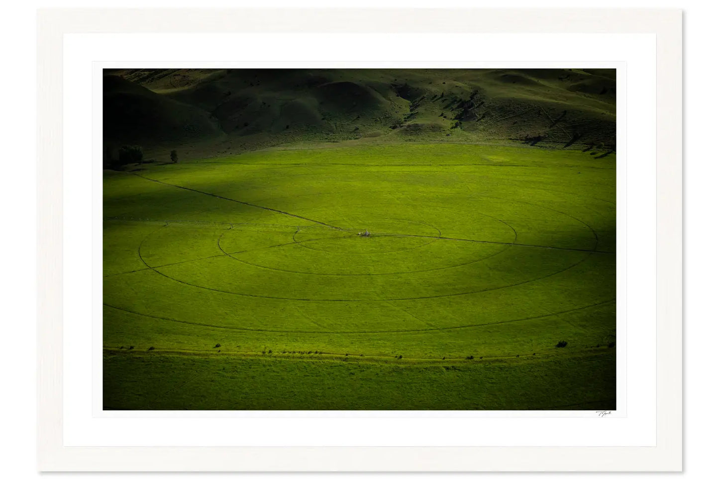 Swirling Plains - Tommy Joyce