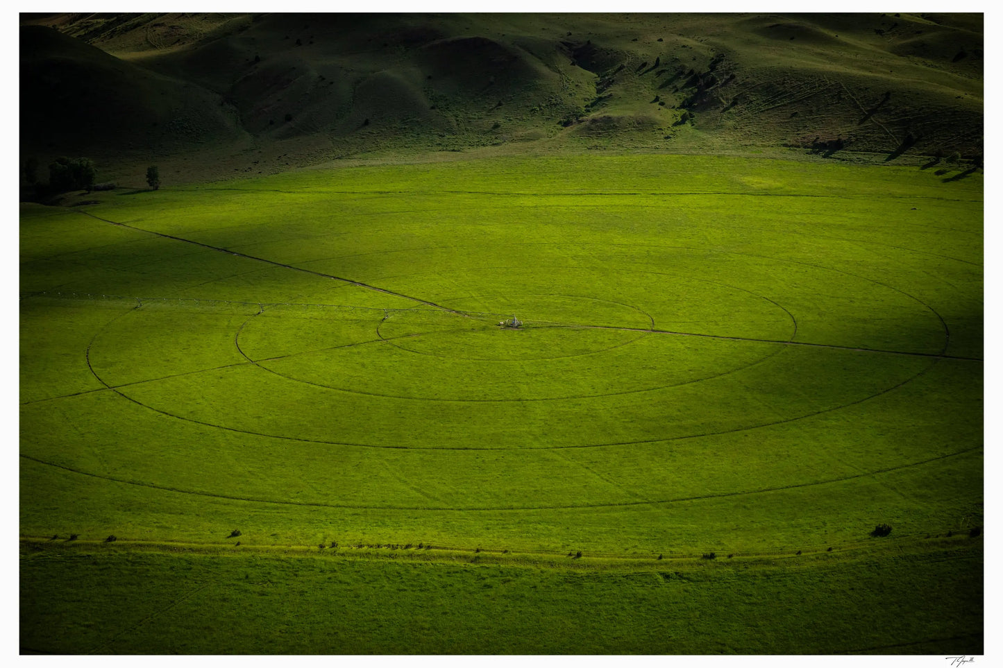 Swirling Plains - Tommy Joyce