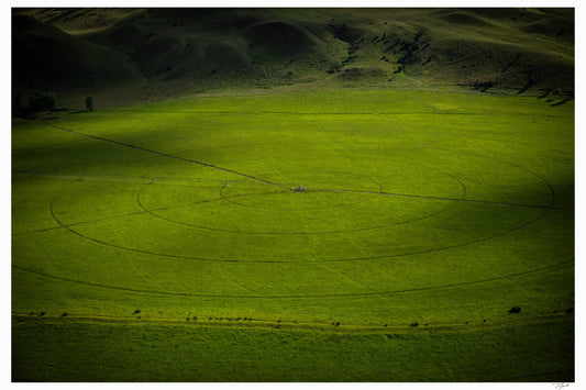 Swirling Plains - Tommy Joyce