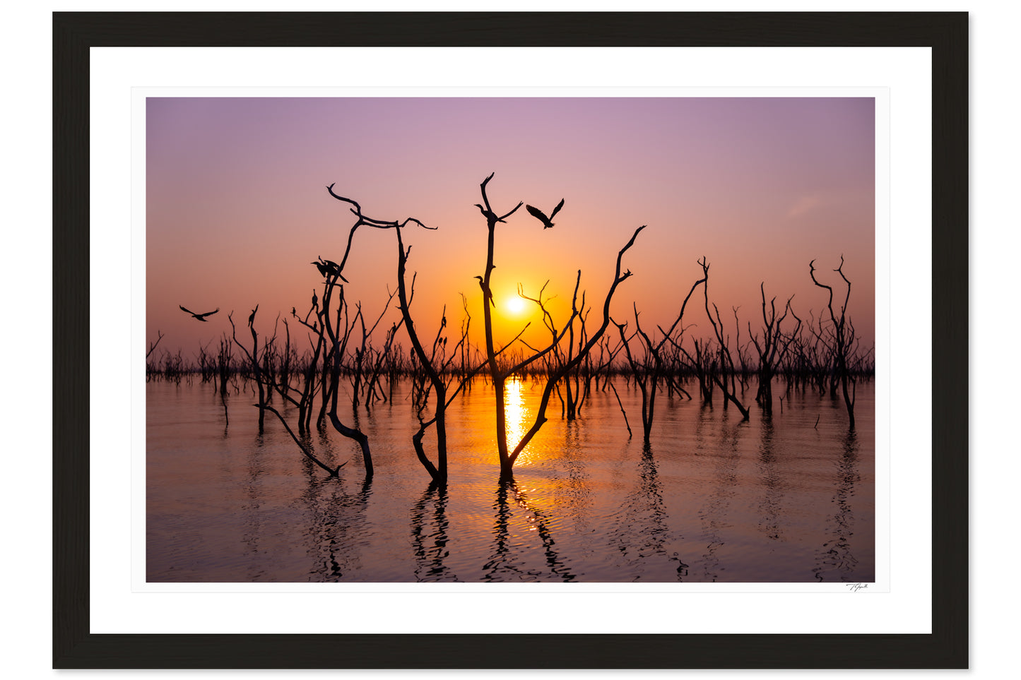 Submerged Sunset