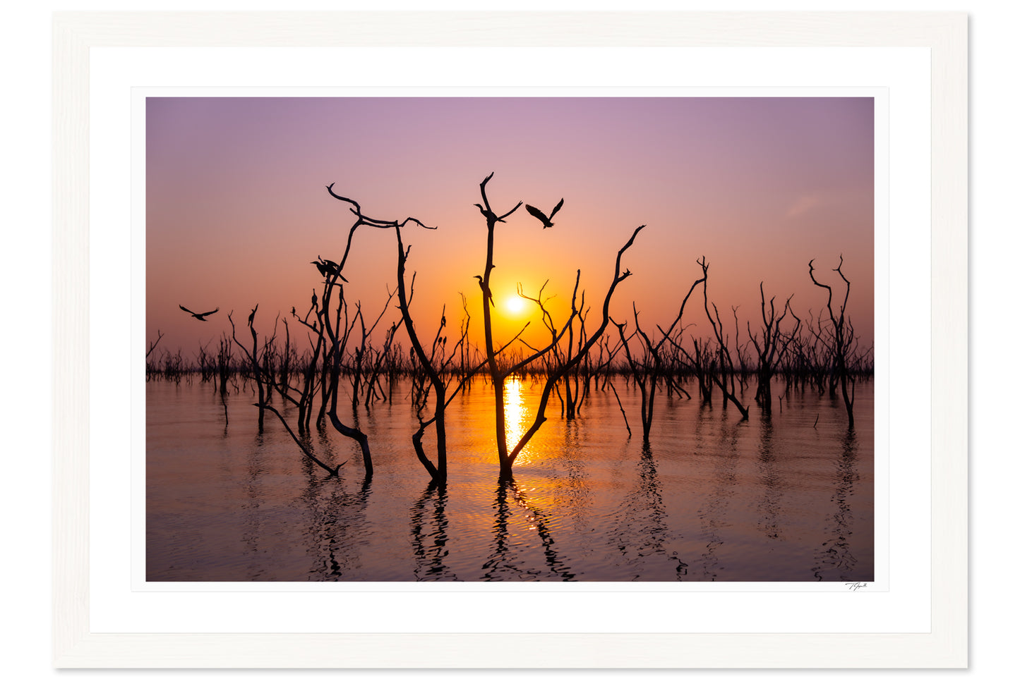 Submerged Sunset