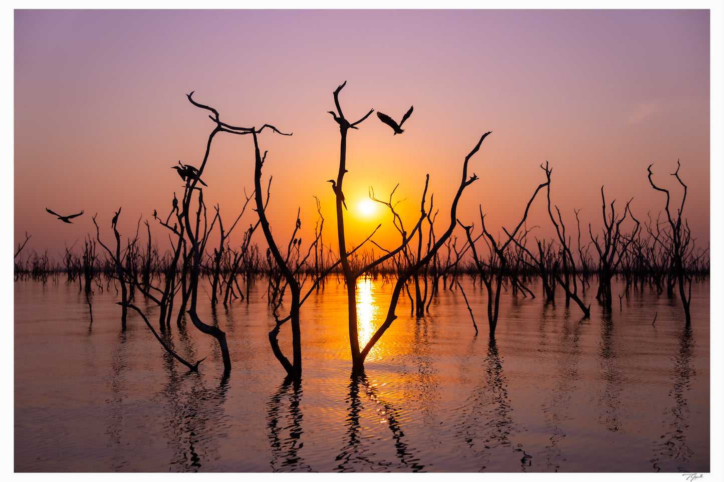 Submerged Sunset