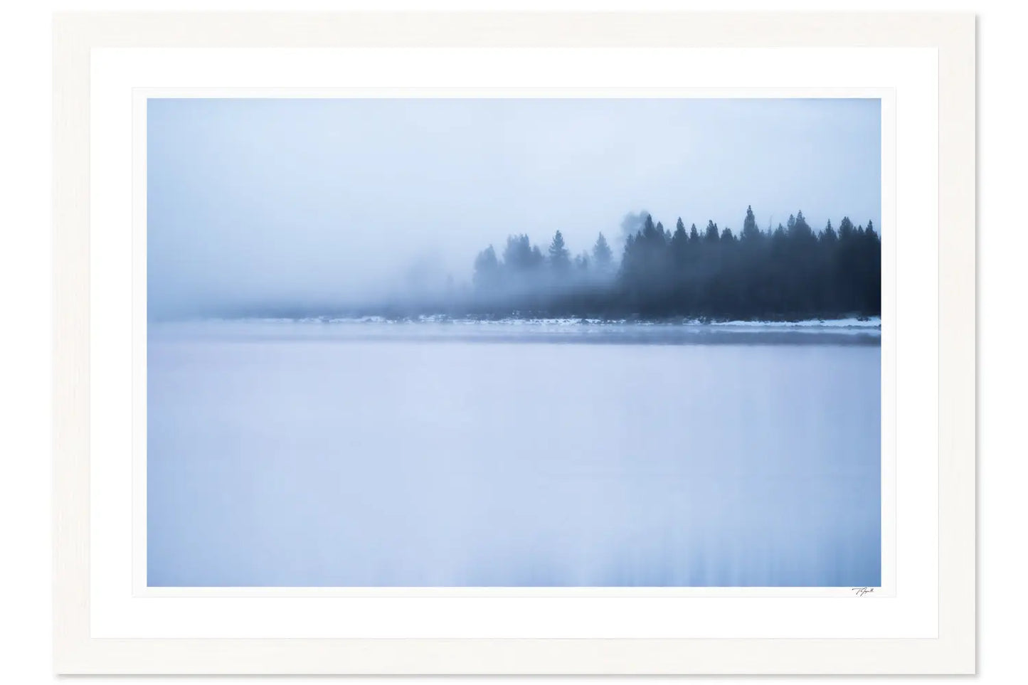 Fogged Out - Tommy Joyce