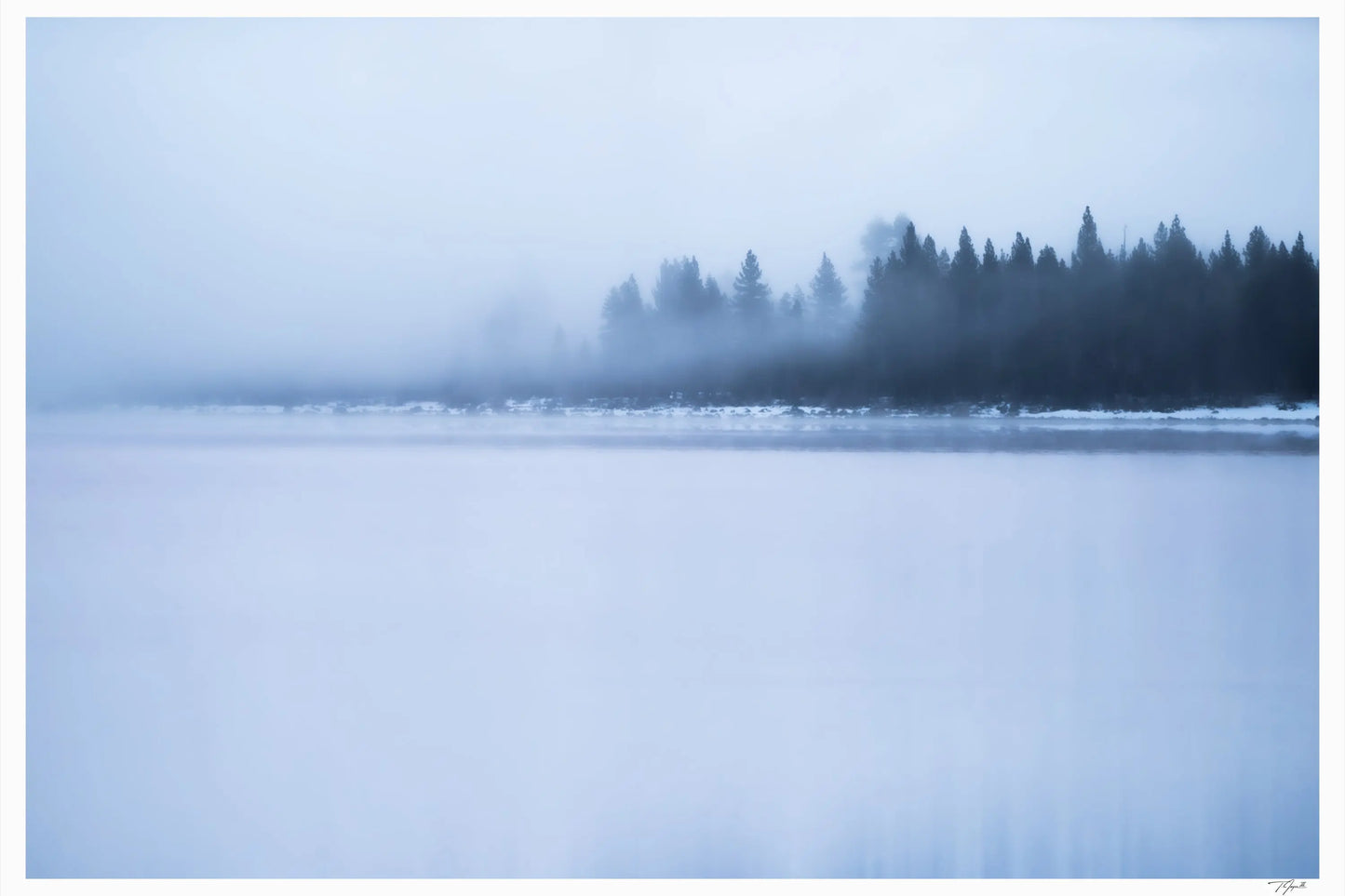 Fogged Out - Tommy Joyce