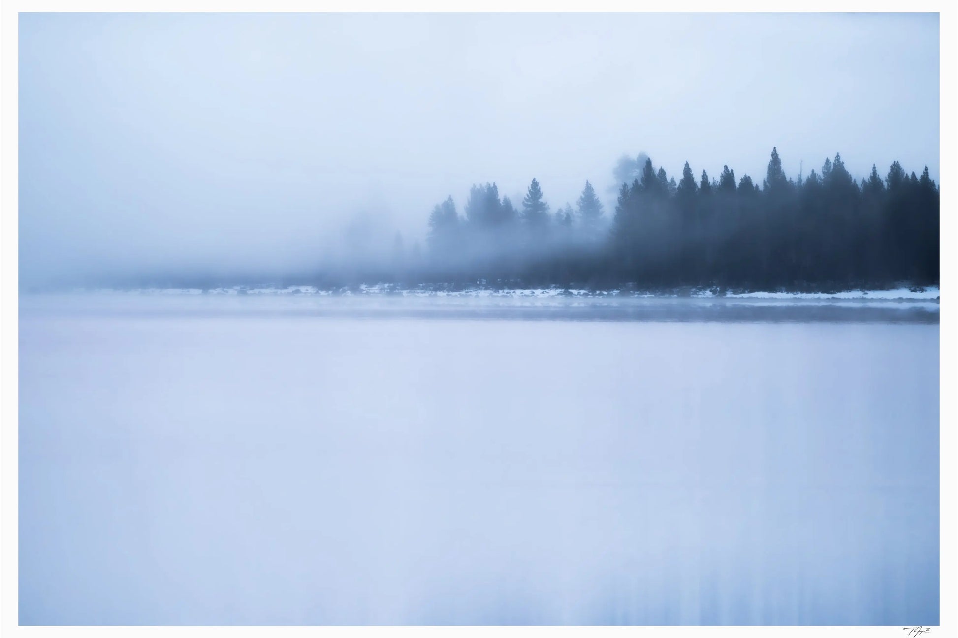 Fogged Out - Tommy Joyce